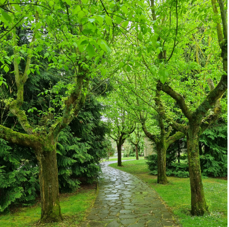 Dias de lluvia